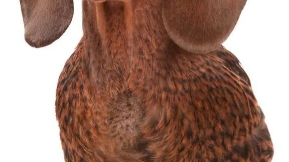 guess animal