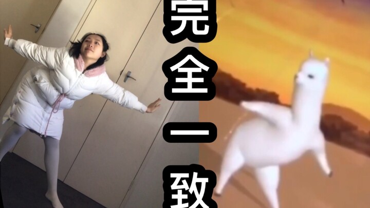 翻拍羊驼表情包【每天一遍 防止抑郁】up承包了我一整年的笑点哈哈哈哈哈 媲美原版，完全一致 Hallo every one哈哈哈哈哈哈哈哈哈哈