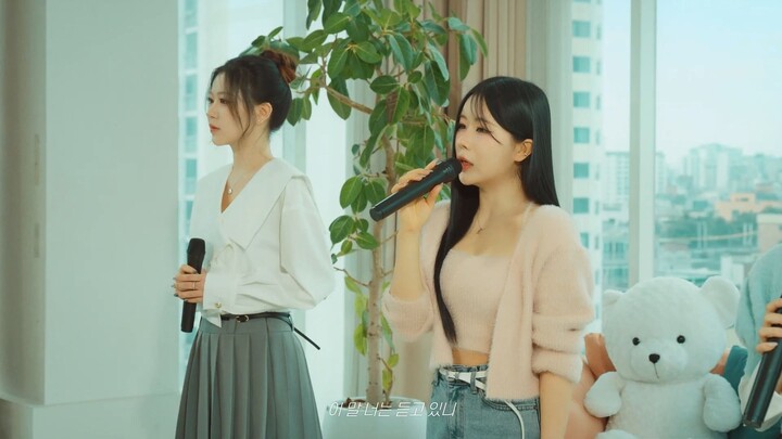 Gavy NJ Sunflower 2026 Live Video