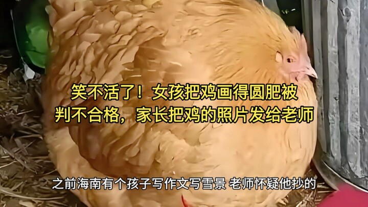 ขำจนทนไม่ไหว! สาวน้อยวาดไก่กลมอ้วนถูกตัดสินว่าไม่ผ่าน ผู้ปกครองจึงส่งรูปไก่ให้คุณครูดู