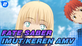 Dia Sangat Imut! | Fate/Saber AMV Imut/Keren_2