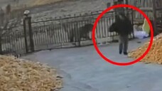 Tetangga dalam bahaya akibat sulit diberitahu