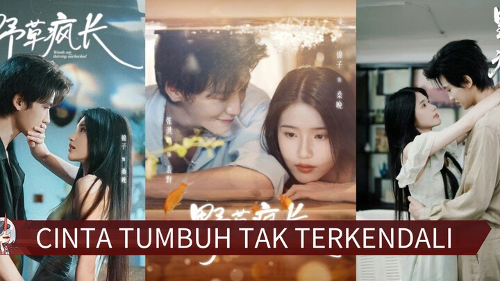 CINTA TUMBUH TAK TERKENDALI // Zang hongmin - Jin zi