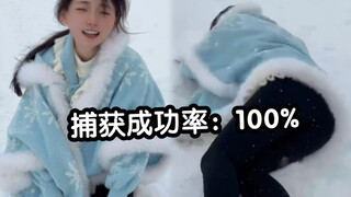 南 方 小 妞 诱 捕 器