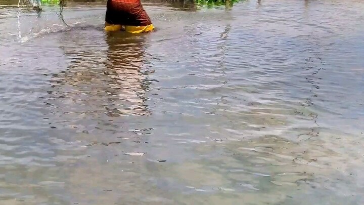 amazing fishing videos #most popular #new fishing