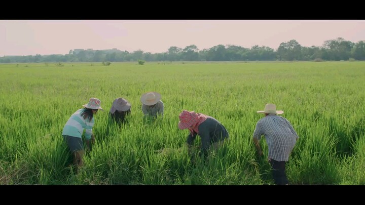 【MV Full】โดดดิด่ง Ost. ไทบ้าน x BNK48 จากใจผู้สาวคนนี้ / BNK48