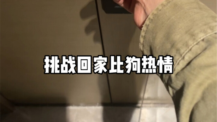 挑战回家比狗热情