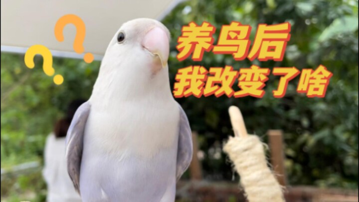 هل علا لي تربية الطيور من استنزافي النفسي الداخلي؟