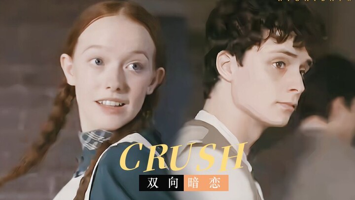 Tembok Pembatas Cinta Sama-sama Saling Suka di Dunia Kampus Versi Saya: [Anne of Green Gables]