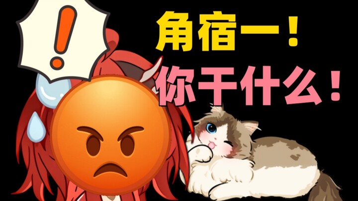 【安可】安可本音驯猫！😡却被旁边的小保安爽到了！🤤🤤
