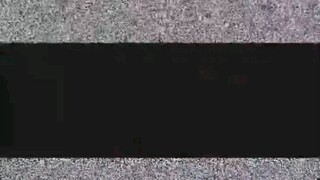 𝙷𝚘𝚠 𝚍𝚒𝚏𝚏𝚎𝚛𝚎𝚗𝚝 𝙳𝚘𝚐 𝚋𝚛𝚎𝚎𝚍𝚜 𝚛𝚎𝚊𝚌𝚝 𝚝𝚘 𝚛𝚘𝚋𝚋𝚎𝚛𝚜. ᴘᴀʀᴛ 2