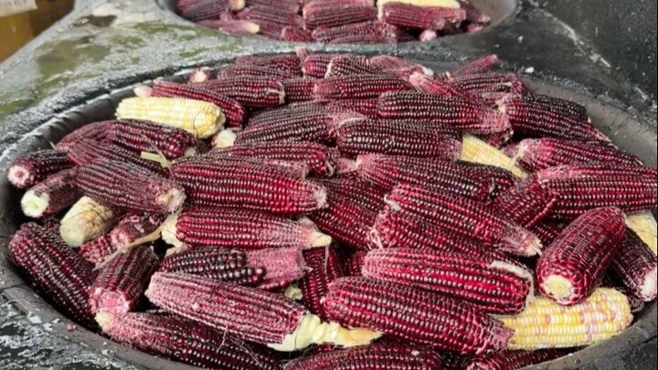 Các bạn mê lợn ăn ngô tím đi nào