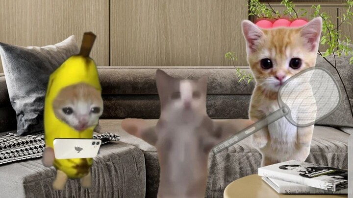Happy Cat swats a mosquito and accidentally hits Banana Cat