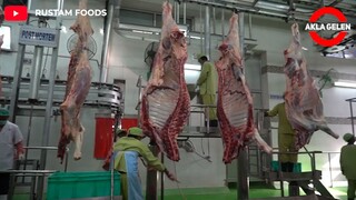 See How the Incredible Buffalo Factory Works - Modern Buffalo Meat Processing Process.
