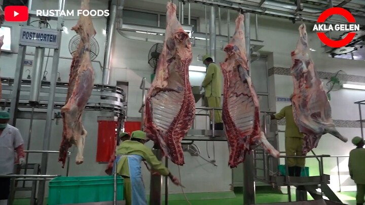 See How the Incredible Buffalo Factory Works - Modern Buffalo Meat Processing Process.