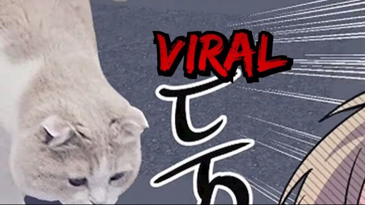 Bro lebih suka kucing real 😭