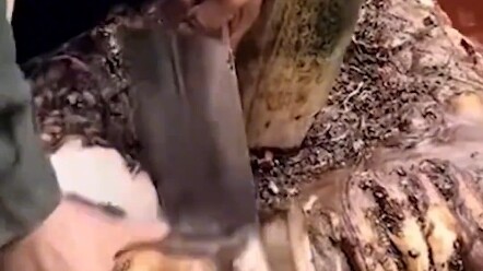 Chinese people who dare to eat anything