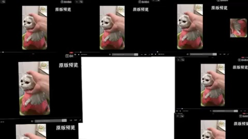 Soo much cats 😵‍💫😵‍💫😵‍💫😵‍💫