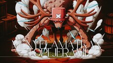 (ONE PIECE AMV) MENYELAMATKAN TOPI JERAMI