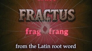 Decoding the root word "frac" | Roots