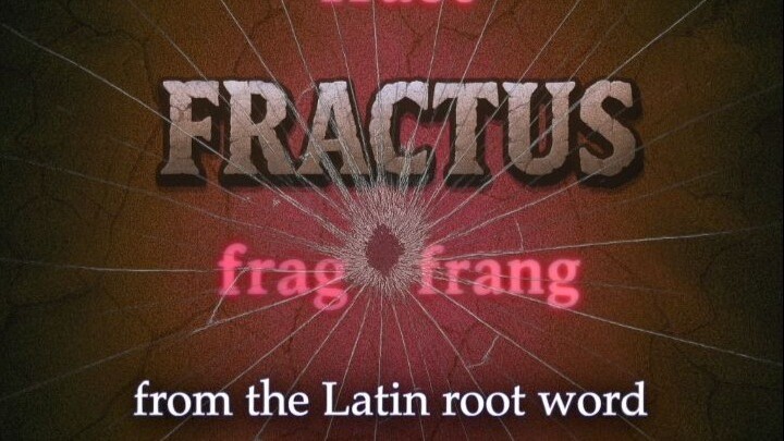 Decoding the root word "frac" | Roots