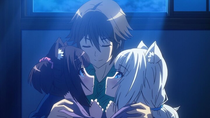 [Recommended in the harem] Catgirls are high! The three catgirls are really harem anime, catgirls ar