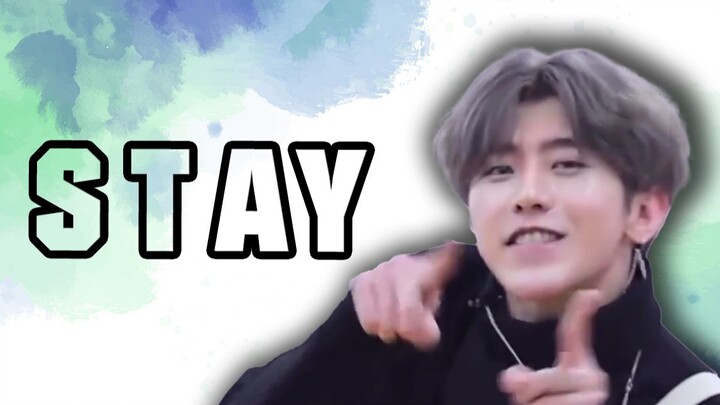 【蔡徐坤】⚡Stay⚡