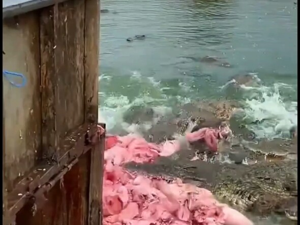 Do you know about these amazing aquaculture methods?