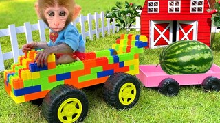 Baby Monkey Bon Bon Broken Truck While Harvesting Fruit and Get Helped By Puppy