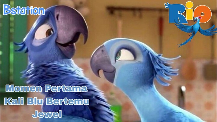 MOMEN BLU PERTAMA KALI BERTEMU JEWEL #Rio
