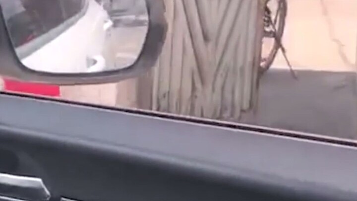 亲爹一开门见儿子满脸嫌弃，瞅见孙子后瞬间变脸笑出褶，儿媳笑喷