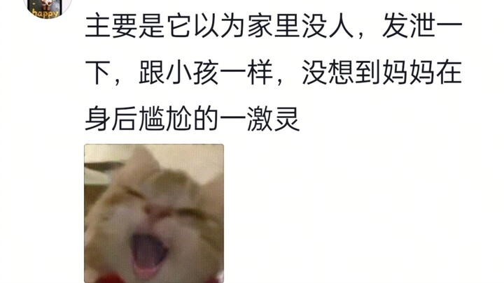 I wasn’t trying to scare him at all—I was just sitting on the sofa, and he was howling so intently o