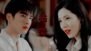 「 宋威龙×曾黎 」有车慎入 | 小妈文学 | 元宋×吴美音 | 枯荣