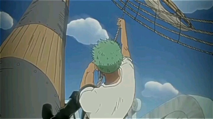 semoga di episode wano zoro gk mati amiinnn