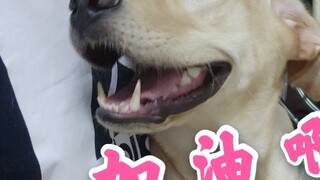 นักพากย์เสียงต่างเพศร่วมสนับสนุนการสอบเข้ามหาวิทยาลัย