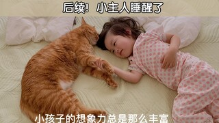 后续！小主人睡醒后，猫咪们都被叫醒了