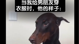 当我给男朋友穿衣服时，他的样子