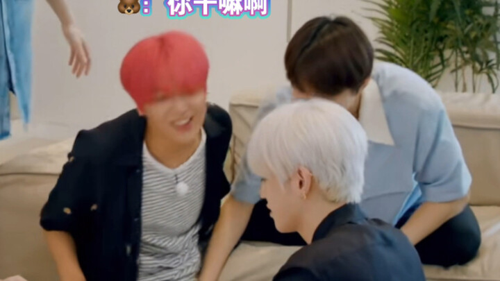 Li Kaican: Bro, where are you touching?