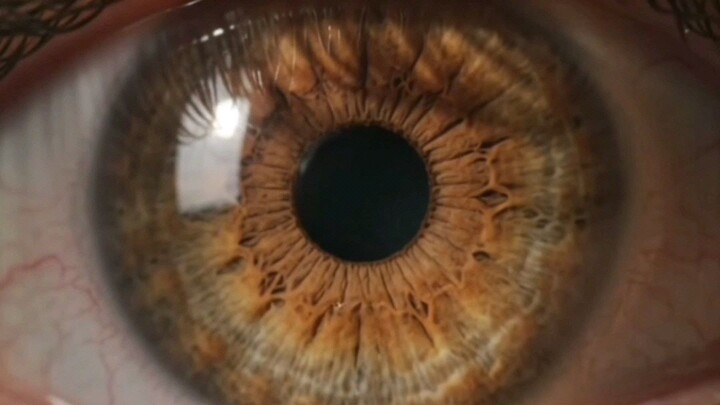 You Blink 20 Times Every Minute?! 👀