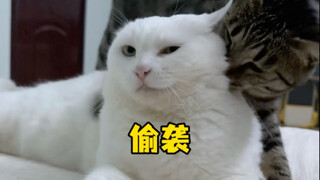 الابن الثالث: الهجوم المفاجئ