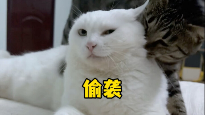 Tiga Anak: Menyerang Secara Mendadak