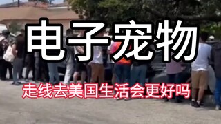 电子宠物：走线去美国生活会变得更好吗