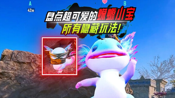 Điểm danh bé kỳ nhông siêu đáng yêu: Tất tần tật những cách chơi độc lạ, hài hước!