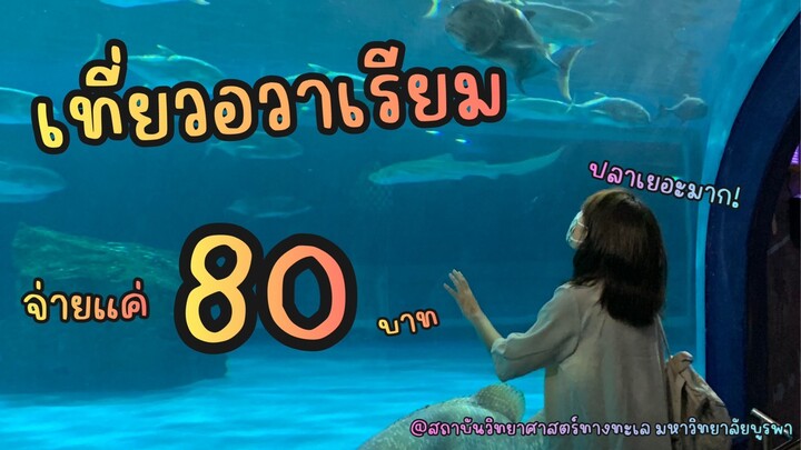 เที่ยวดำดิ่งลงใต้ทะเลลึก จ่ายแค่ 80 บาทเองหรอ!?
