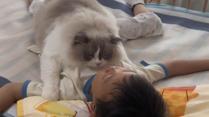 Five years ago, George already loved lounging on my pregnant belly—and now that the baby’s grown up,