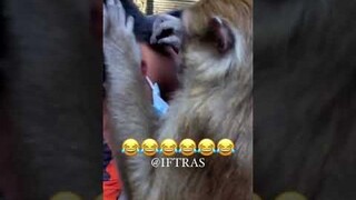 รวมคลิปต่างประเทศ ตลกเจ็บคลิปตลก คลิปต่างประเทศ