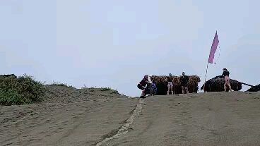 Sand Dunes