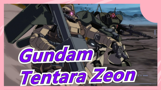 [Gundam UC] Tentara Zeon / Pertunjukan Kekuatan Seri Harimau MAD×MS-07/ Harimau/Spesial/Terbang