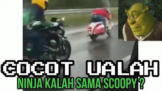 NINJA KALAH SAMA SCOOPY ???  | CHOCHOT UALAH 16