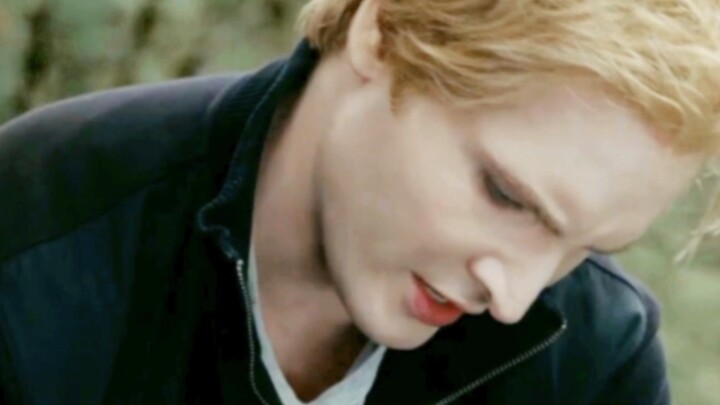 Ever since Carlisle opened the door, I have been... blind (no one can see except him, maybe fast for